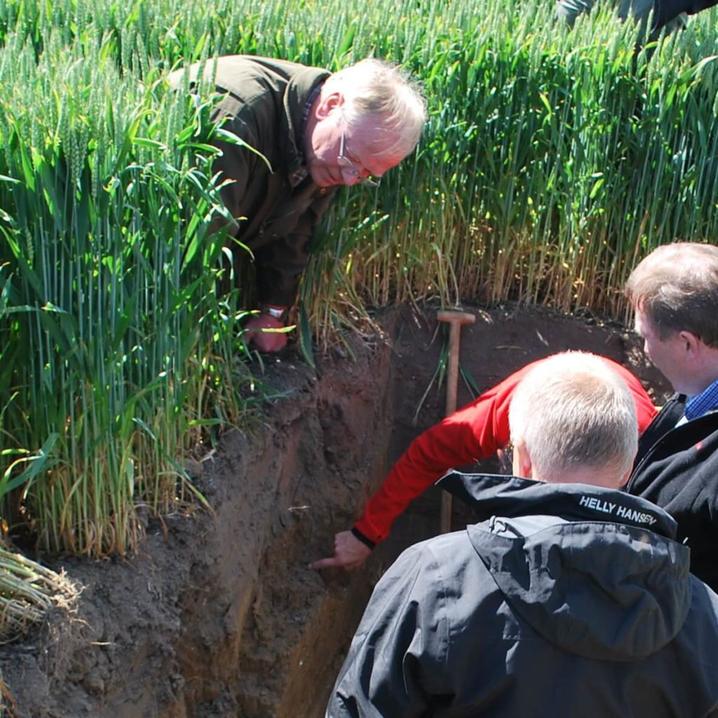 The Lean Farming group Forest-Agriculture investigates the soil layers for activity with microbes and worms. Is the earth alive? This field has been run without plowing for many years, so there is plenty of life.